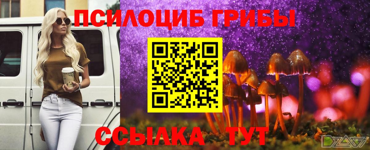 Галлюциногенные грибы GOLDEN TEACHER Коркино