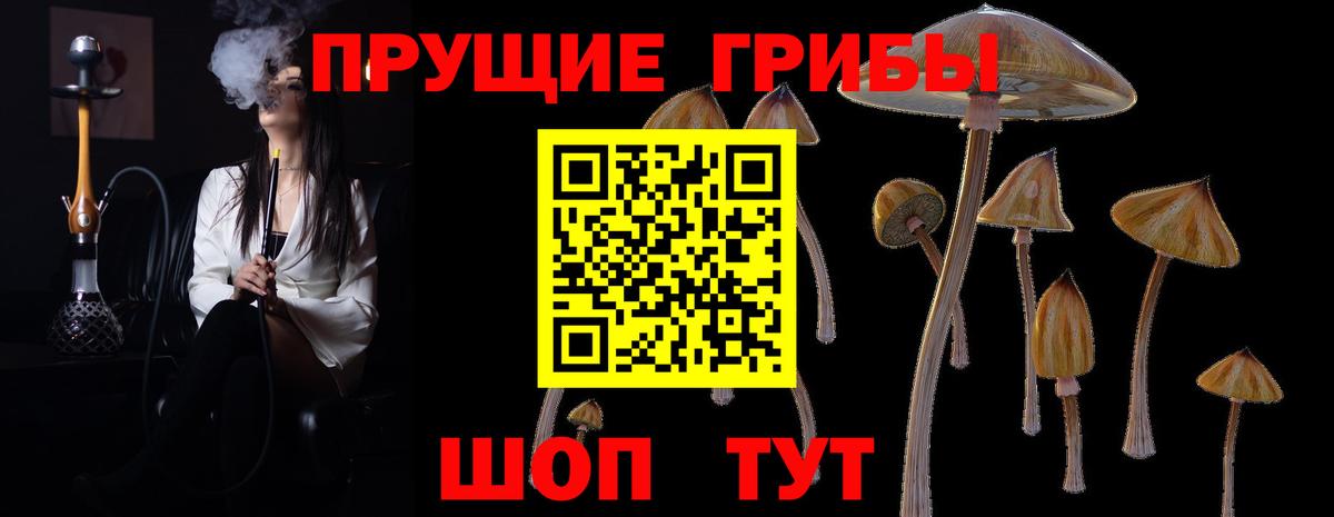Галлюциногенные грибы GOLDEN TEACHER  Вход с VPN  Коркино 